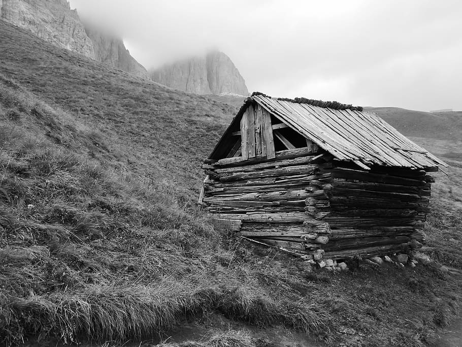 grayscale photo of house, hut, alm, alm hut, mountain hut, summer