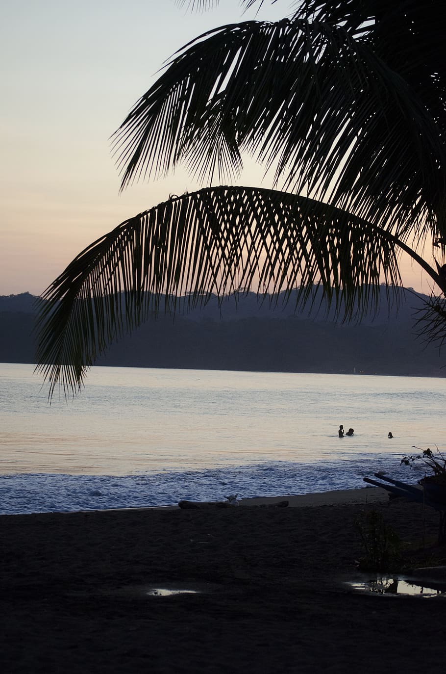 palm tree, sunset, shadow, water, sky, sea, scenics - nature HD wallpaper