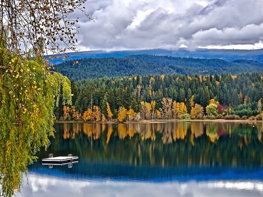 Panorama photo of green leaf trees beside lake near mountain ranges HD wallpaper