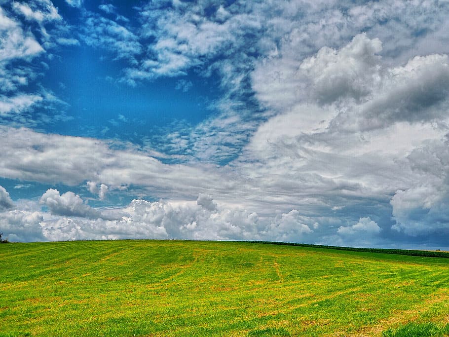 Summer, Meadow, Clouds, blue, cloudporn, green, field, outdoor HD wallpaper