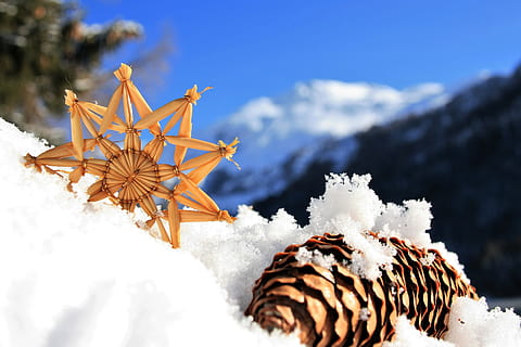shallow focus photography of pine cone on snow during daytime HD wallpaper