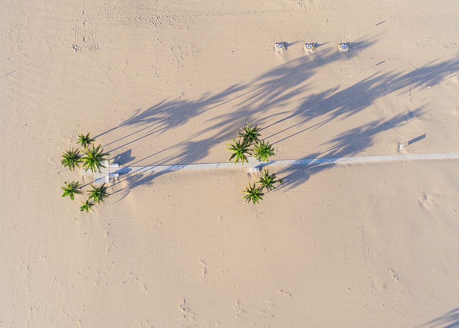 aerial photography of green tree, aerial photo of green palm trees near white road at daytime HD wallpaper