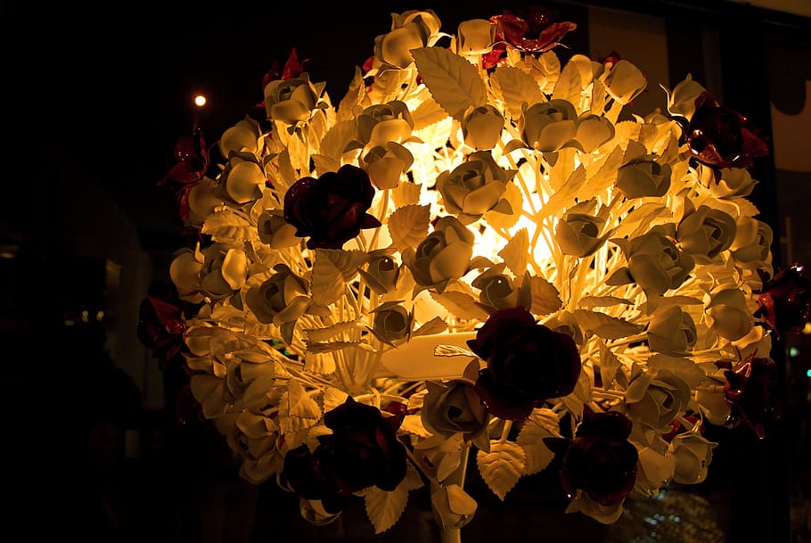 lighting, design, lamps, flower, flowering plant, night, petal HD wallpaper