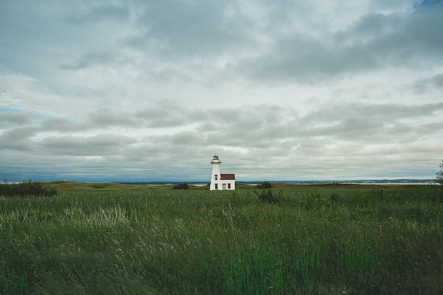 white lighthouse surrounded by grass field, white and black house on grass field HD wallpaper