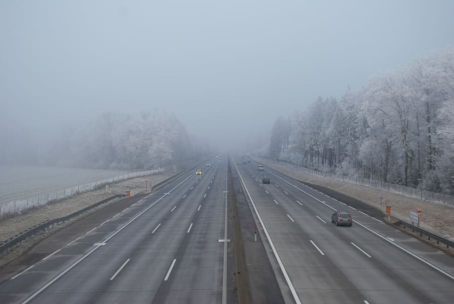 Auto, Fog, Highway, transportation, weather, winter, road, outdoors HD wallpaper