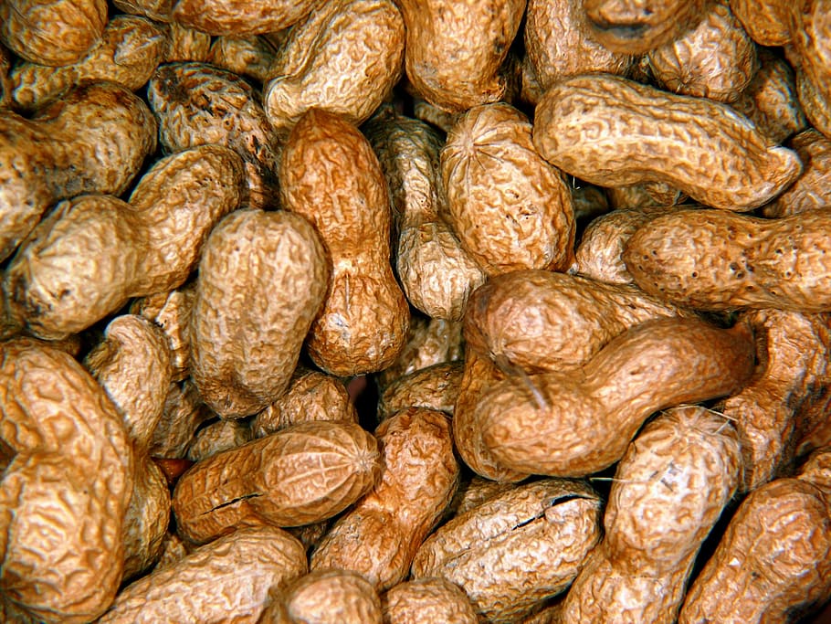 peanuts, snack, nutrition, knabberzeug, delicious, nibble, food and drink HD wallpaper