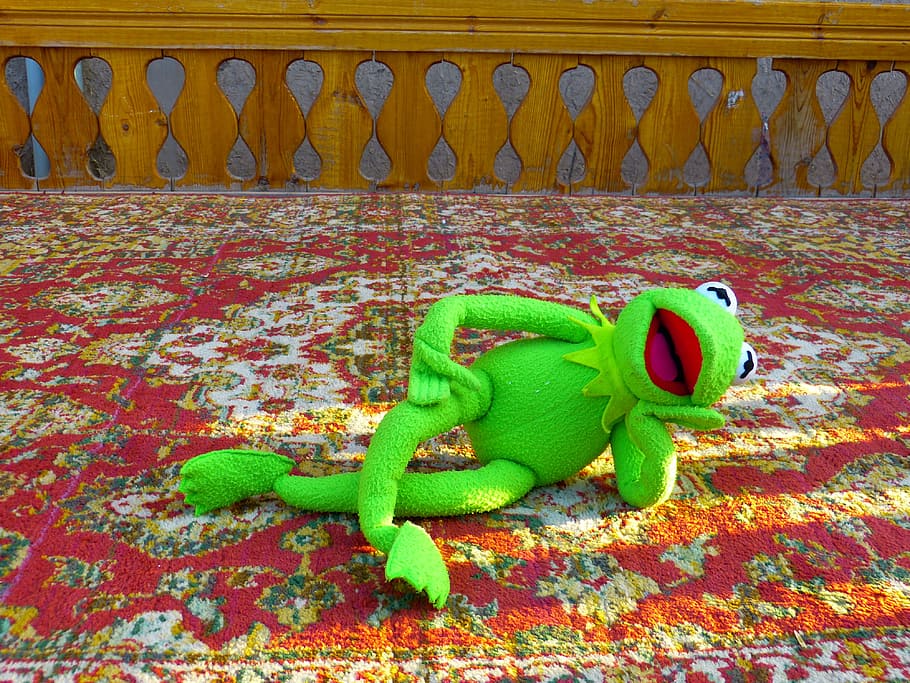Kermit, Frog, Relax, Bed, Rest, concerns, green color, animal themes HD wallpaper