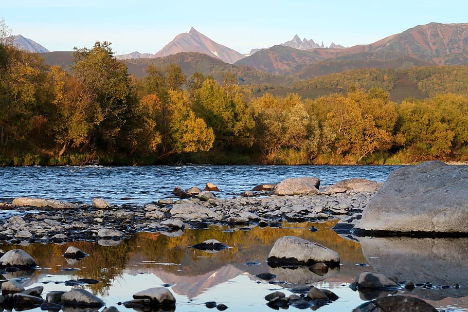autumn, river, mountains, forest, fall colors, landscape, nature HD wallpaper