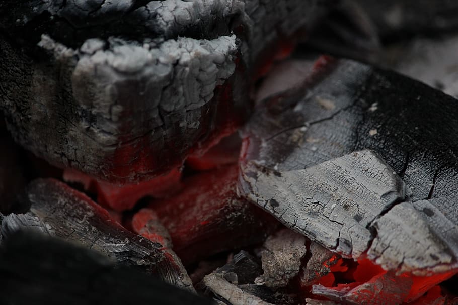 fire, coals, macro, tree, bonfire, campfire, ash, fever, close-up HD wallpaper