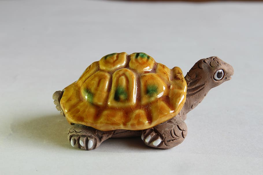 turtle, crafts, decoration, studio shot, indoors, animal themes HD wallpaper
