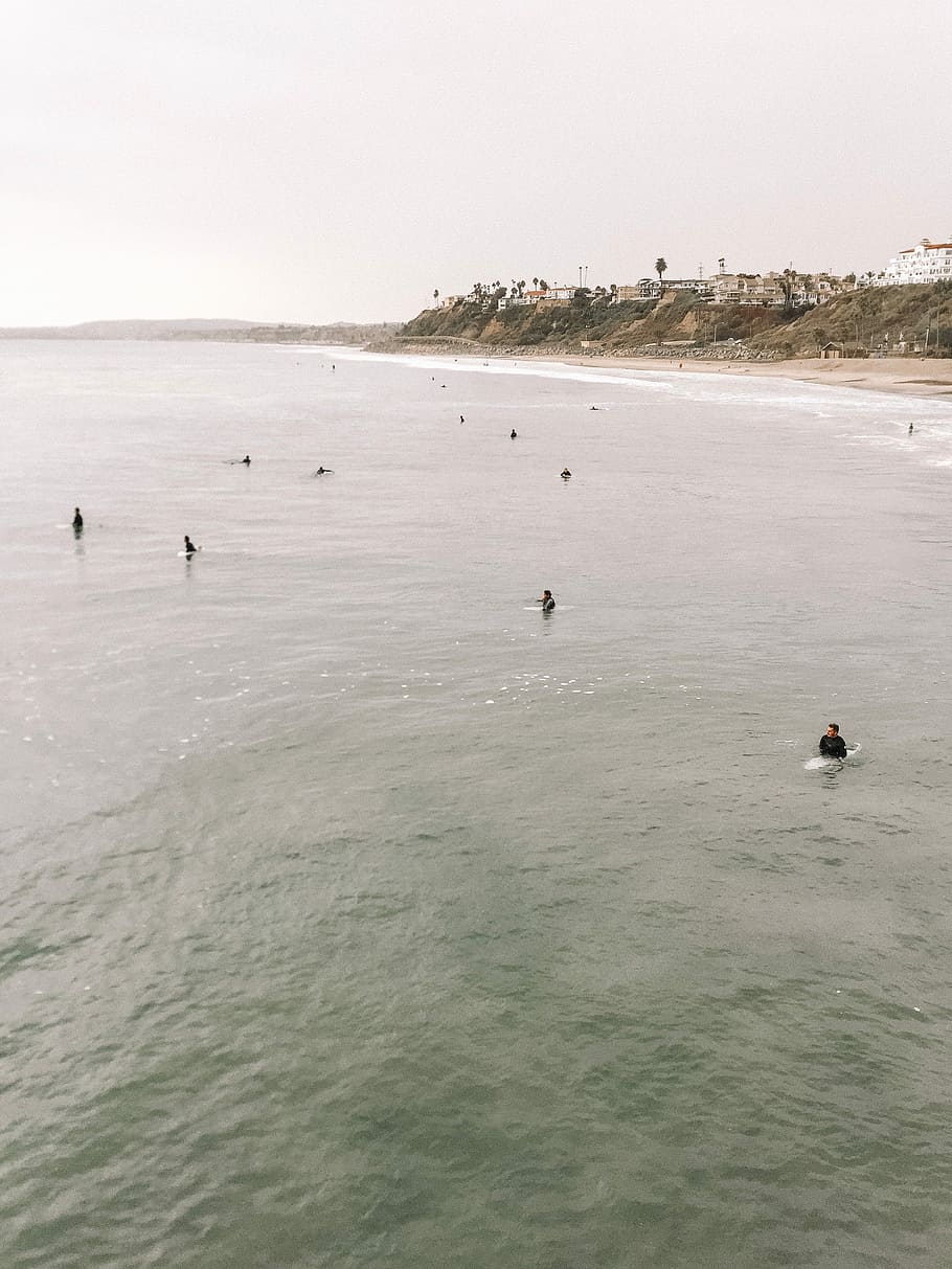 people swimming during daytime, surfer, surfboard, palm tree HD wallpaper