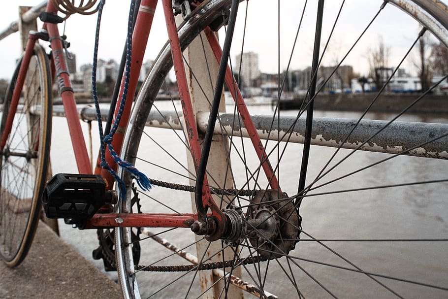 bicycle, river, water, spring, bridge, transportation, mode of transportation HD wallpaper