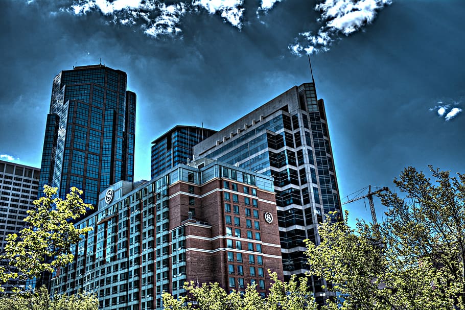 calgary, city, canada, skyscraper, skyline, alberta, urban HD wallpaper