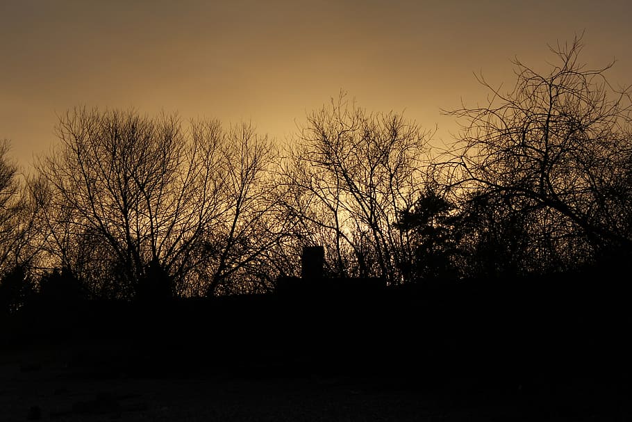 abendstimmung, evening sky, lighting, twilight, silhouette HD wallpaper