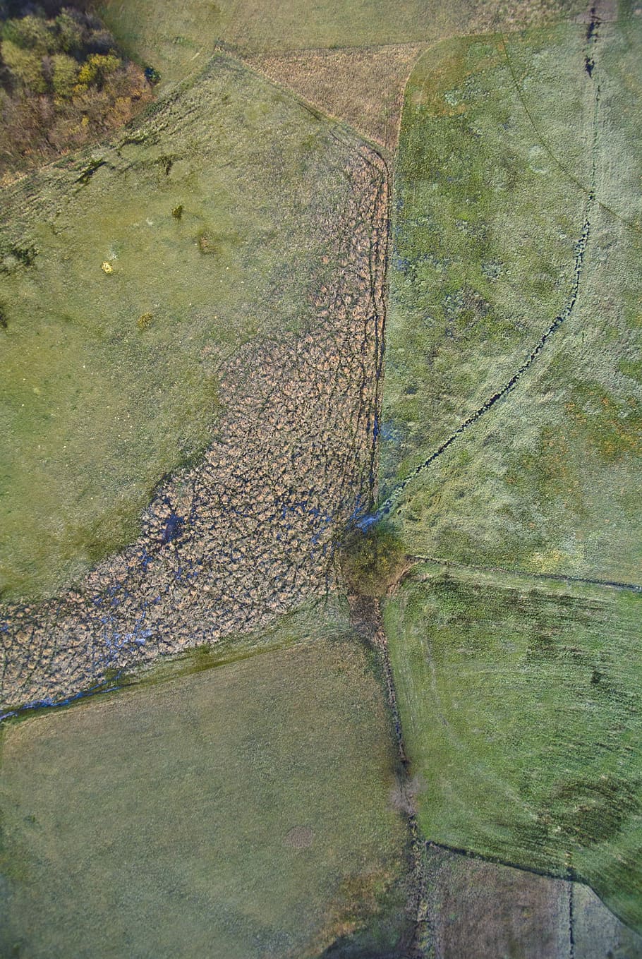 A swamp, high angle photography of grasslands, aerial view, field HD wallpaper