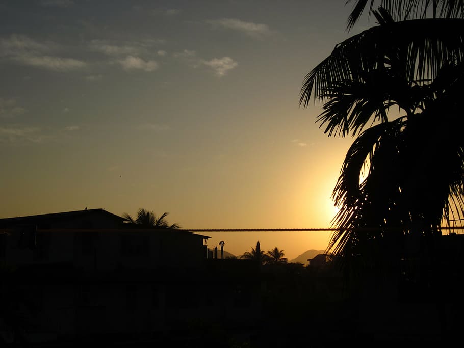 sunset, scenery, silhouette, tree, dark, landscape, nature HD wallpaper
