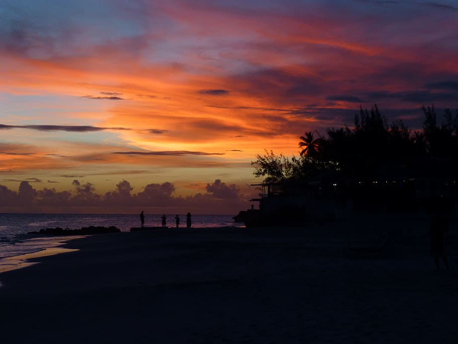 Sunset, Sea, Beach, Ocean, Tropical, nature, dusk, silhouette HD wallpaper