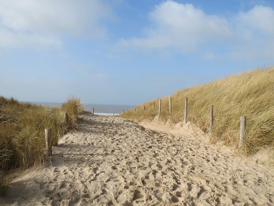 Sea, Beach, Dune, Marram Grass, dunes, sun, nature, road, the way forward HD wallpaper