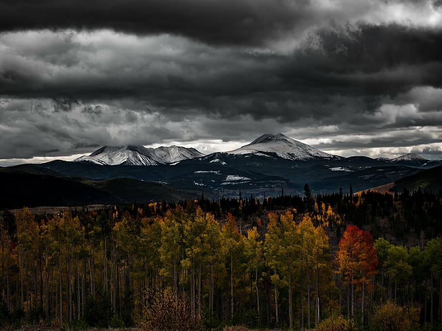 landscape photography of trees and mountains under cloudy sky HD wallpaper