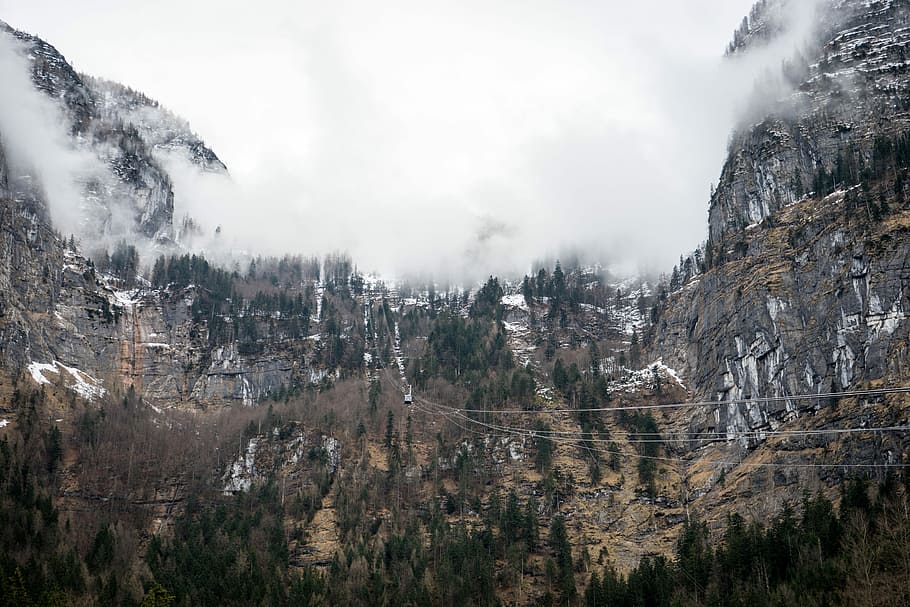 foggy mountain photography, rock, cliff, tree, woodland, plant HD wallpaper