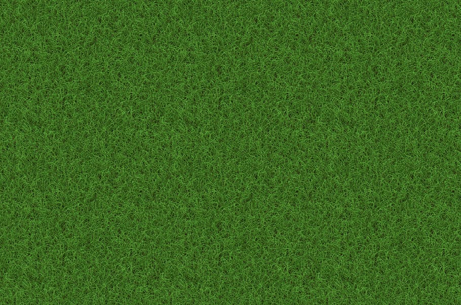 green grass, rush, grass, texture, background, pattern, meadow, HD wallpaper