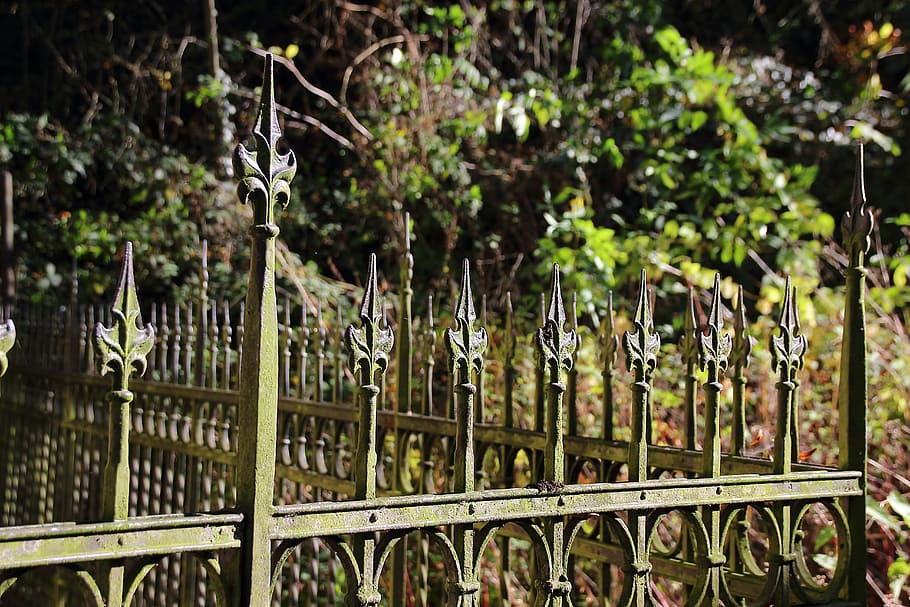 fence, metal, iron, grid, old, great, wrought iron, nature HD wallpaper