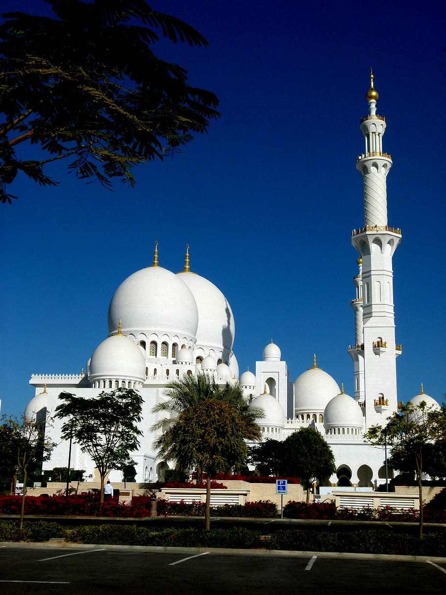 abudhabi, mosque, building, islam, architecture, u a e, large mosque, HD wallpaper