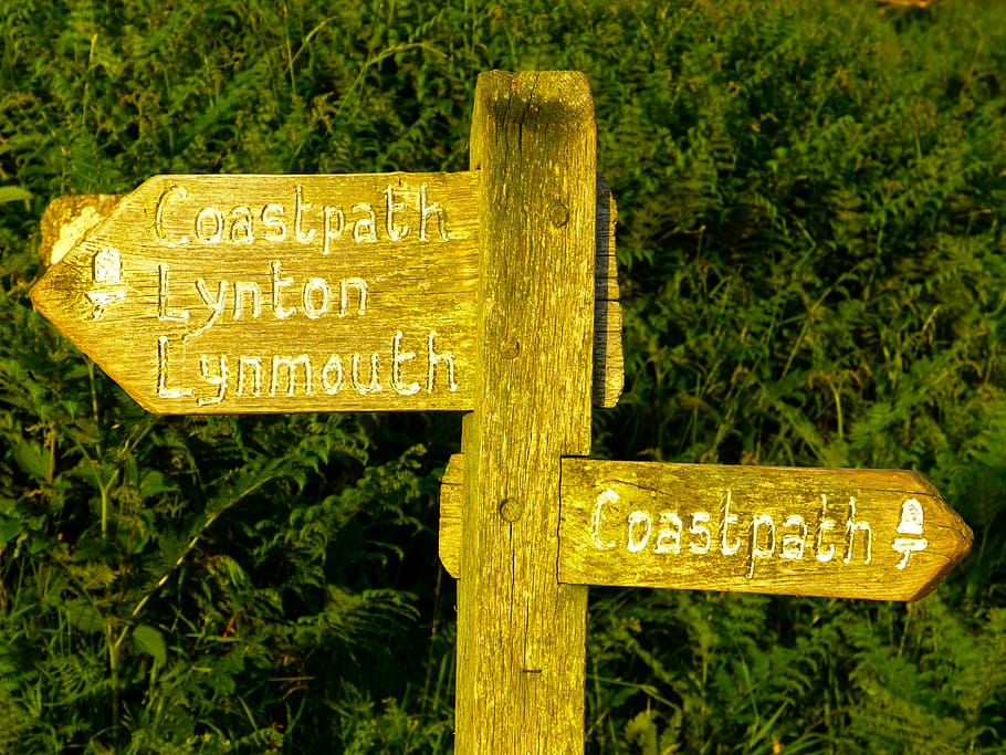 directory, wood, signposts, direction, shield, marking, arrow HD wallpaper