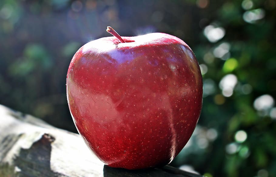 red apple in tilt shift lens photo, red chief, fruit, frisch HD wallpaper