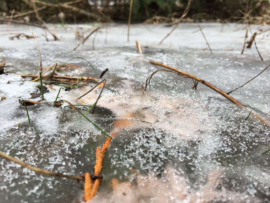 ice, nature, cold, cold temperature, winter, snow, day, no people HD wallpaper