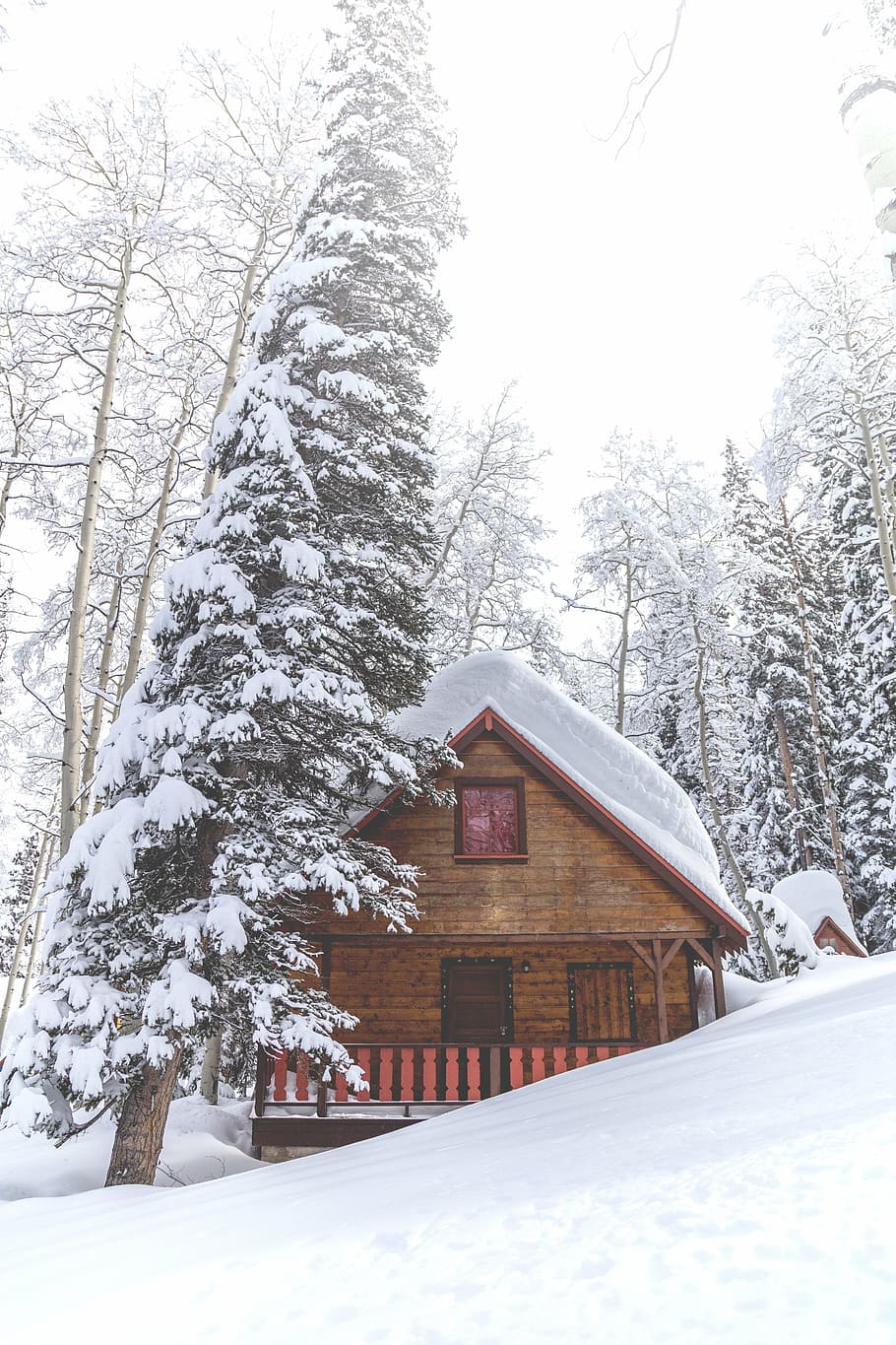 brown and red house surrounded by high trees covered by snow under white sky at daytime