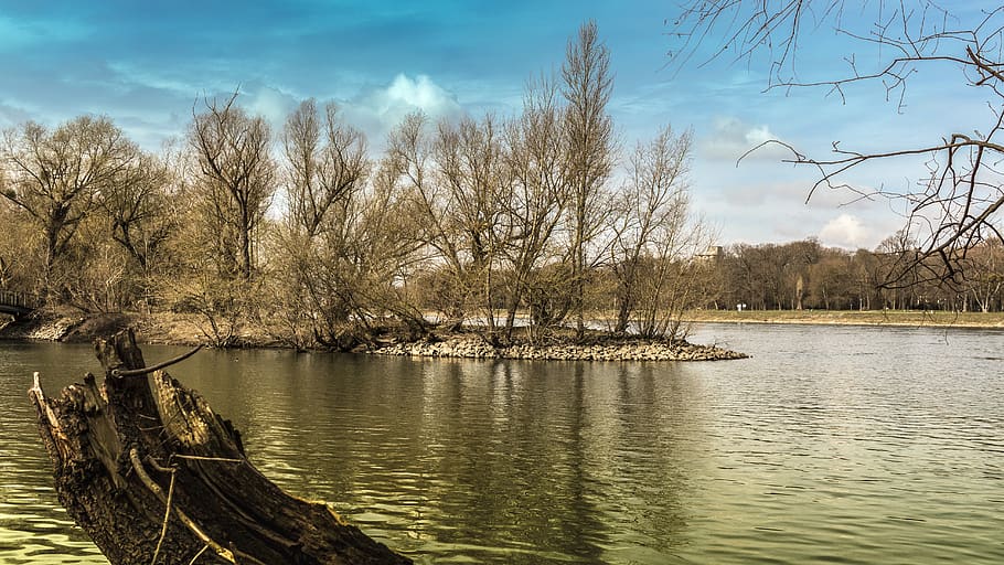 lake, sky, water, tree, bare tree, tranquility, plant, beauty in nature HD wallpaper