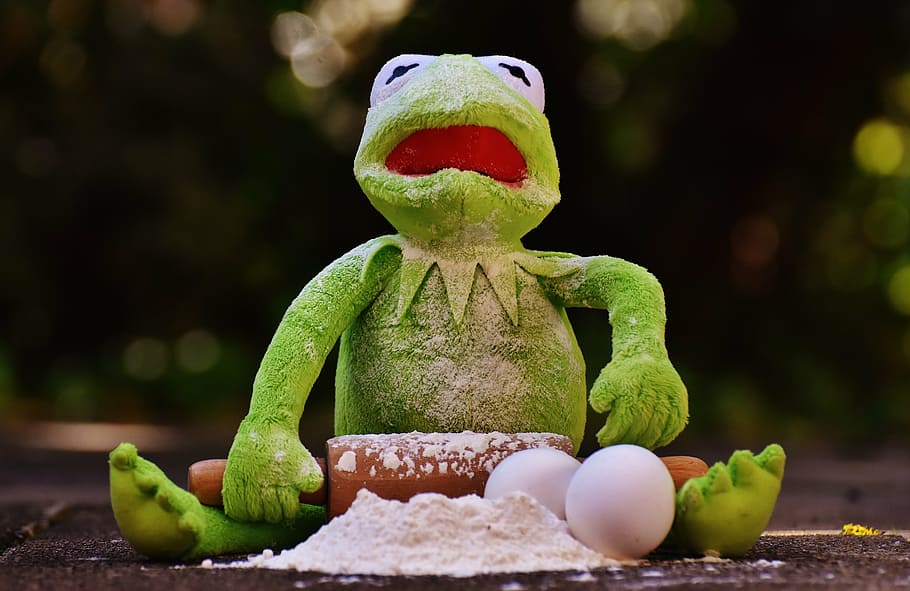 Kermit the Frog holding rolling pin with powder and eggs, bake