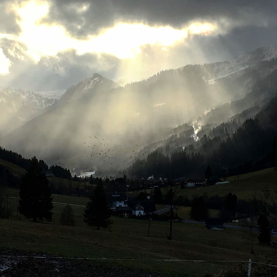 Sun, Clouds, Sunbeam, Crow, Landscape, tree, nature, scenics HD wallpaper