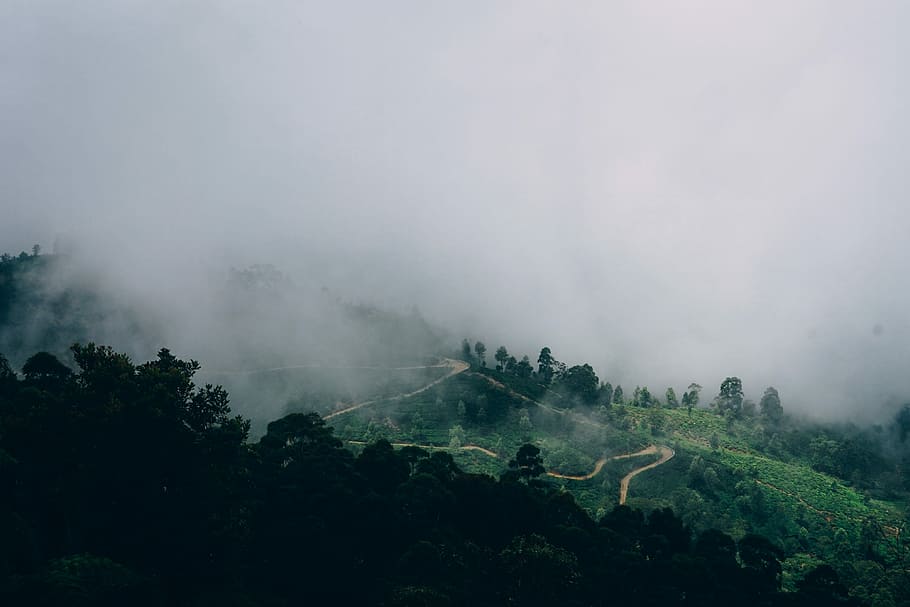 green mountain with trees and smoke, green mountain covered in fog during daytime HD wallpaper