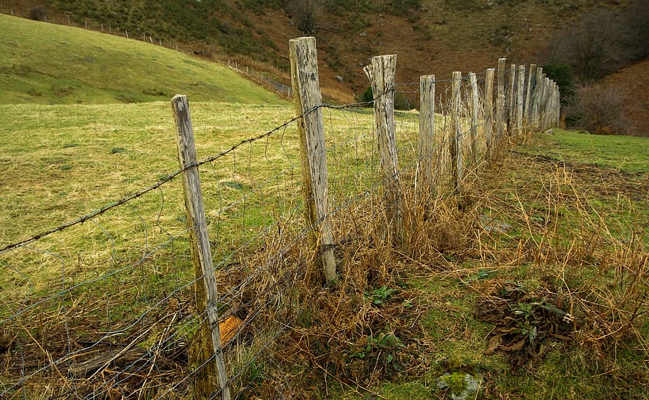 Closing, Barbed Wire, Prairie, field, no people, protection HD wallpaper