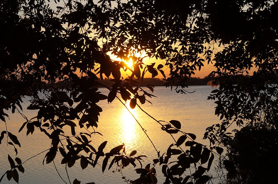 twilight, mood, dusk, sunset, botswana, guma lagoon, sky, silhouette HD wallpaper