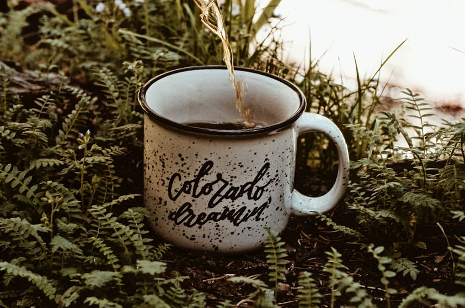 beverage pouring on white mug, white coffee mug on leaves, cup HD wallpaper