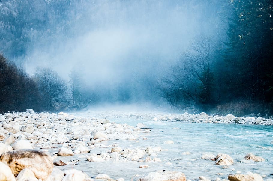 body of water and stone lot, fog, covered, trees, river, rocks HD wallpaper