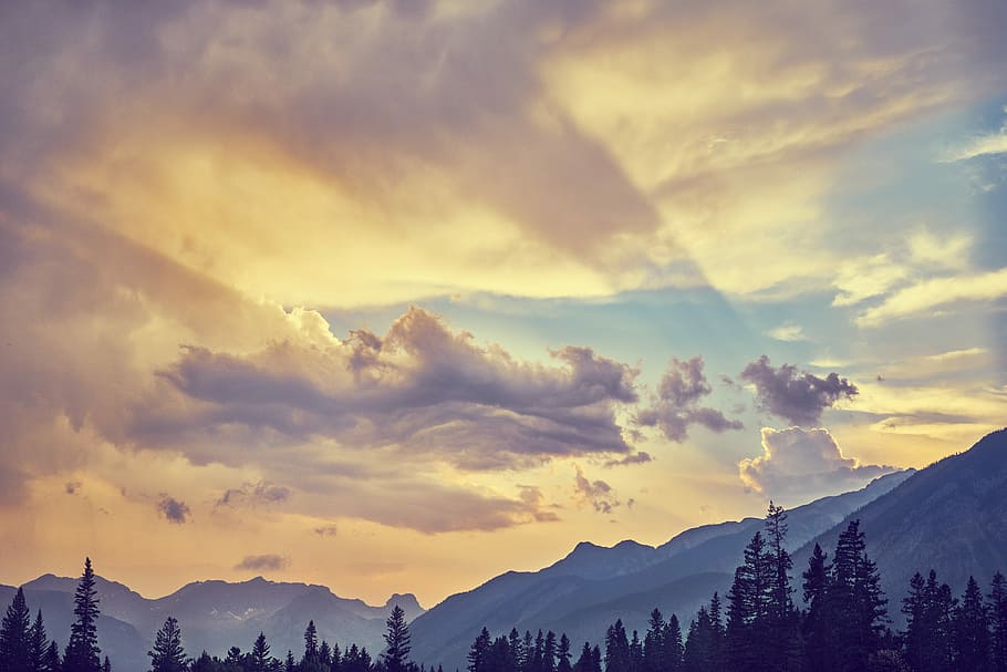 silhouette of trees, silhouette of mountains and trees, cloud HD wallpaper