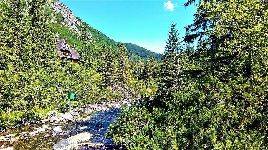 mountains, river, cottage, nature, forest, outdoors, tree, landscape HD wallpaper