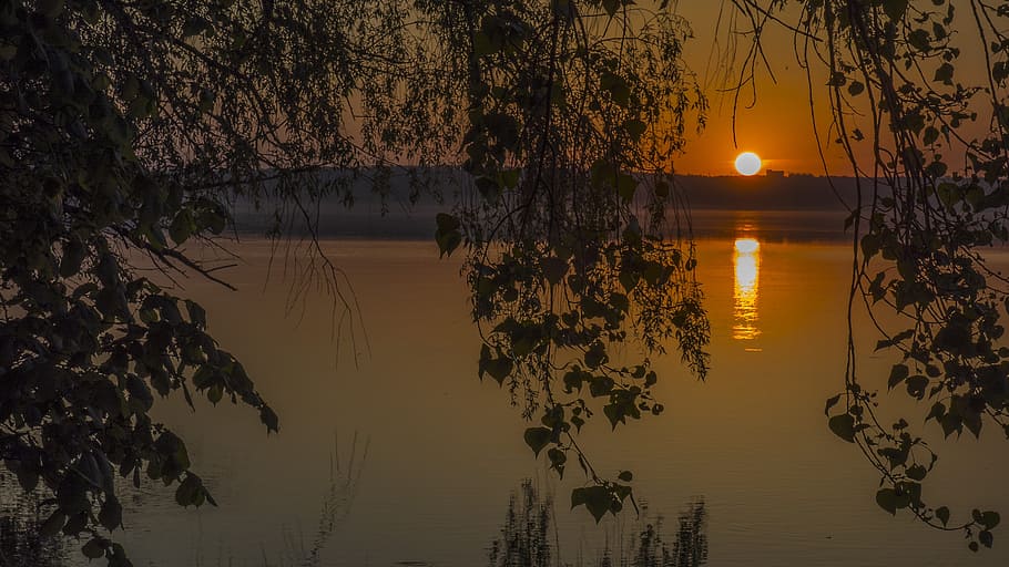 reflection, nature, tree, water, dawn, sunset, lake, twilight HD wallpaper