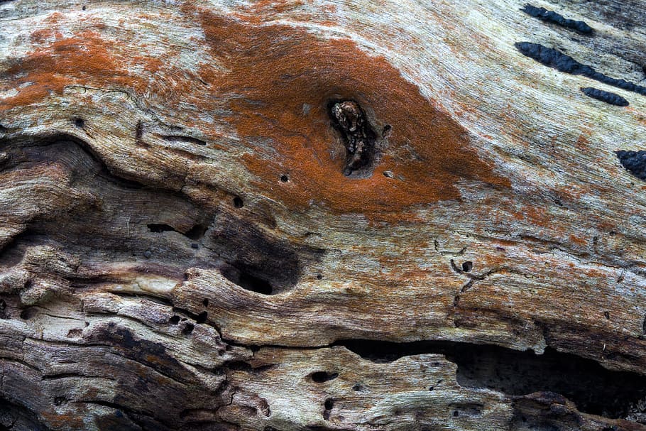 wood, background, structure, old, texture, textured, full frame HD wallpaper