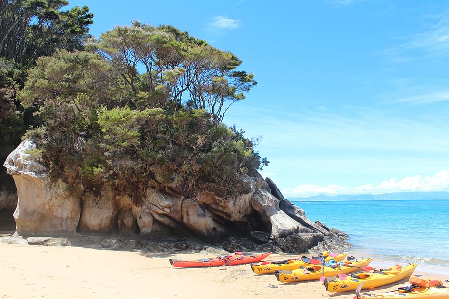 Beach, Stone, Trees, summer, azure blue, sea, kayak, sand, new zealand HD wallpaper