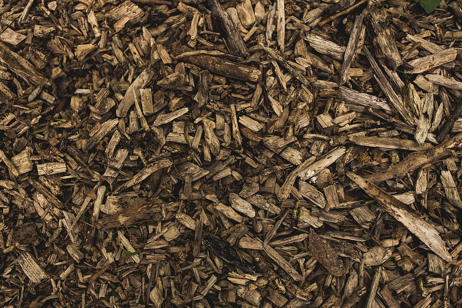 batch, chopped, close-up, dry, firewoods, logs, pile, texture HD wallpaper