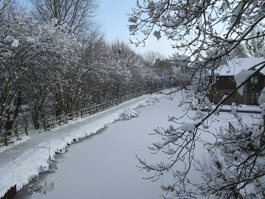 Snow, Canal, Winter, cold temperature, tree, white color, tranquil scene HD wallpaper