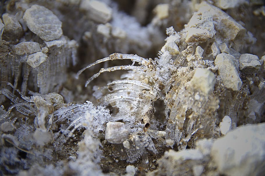 Ice, Rocks, Macro, rock - object, industry, crystal, nature HD wallpaper