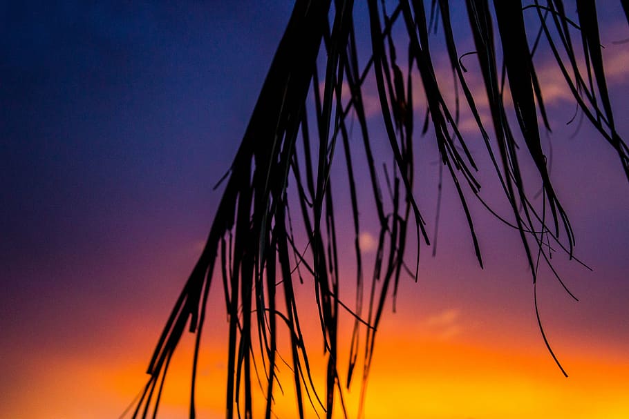 sunset, sol, nature, mar, ceu, brazil, eventide, silhouette HD wallpaper
