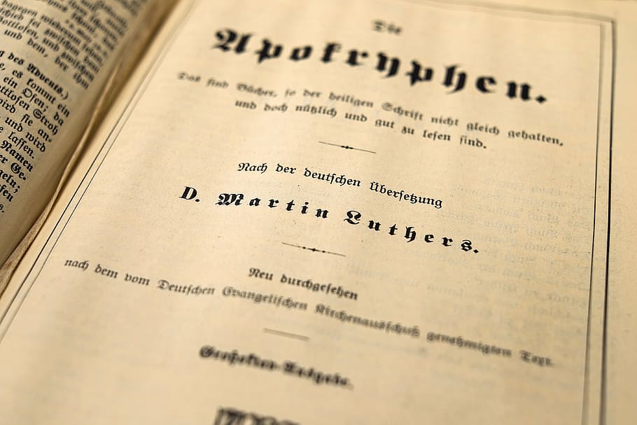 close-up photo of D. Martin Luthers book, bible, old, font HD wallpaper