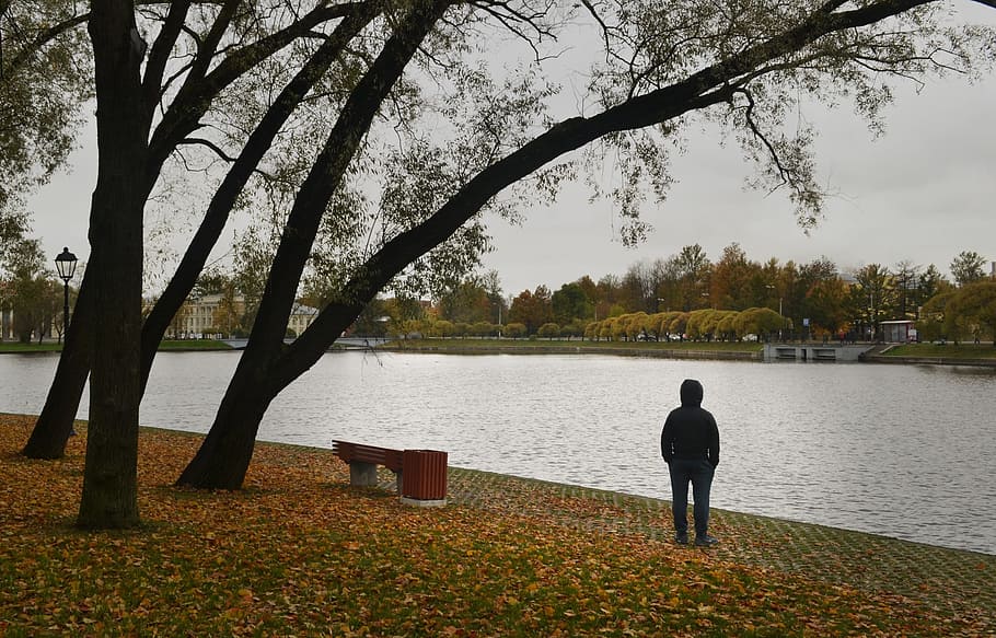 autumn, nature, tree, september, loneliness, bench, river, plant HD wallpaper
